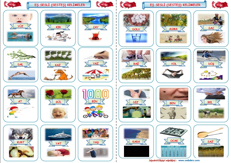 3. Sınıf Türkçe Eş Sesli (Sesteş) Kelime Kartları Defter Çalışması (2 Sayfa)