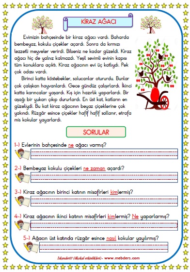 1. Sınıf Türkçe Kiraz Ağacı Okuma Anlama Metin Çalışması 18