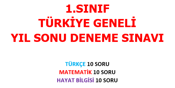 1. Sınıf - Yılsonu Denemesi pdf