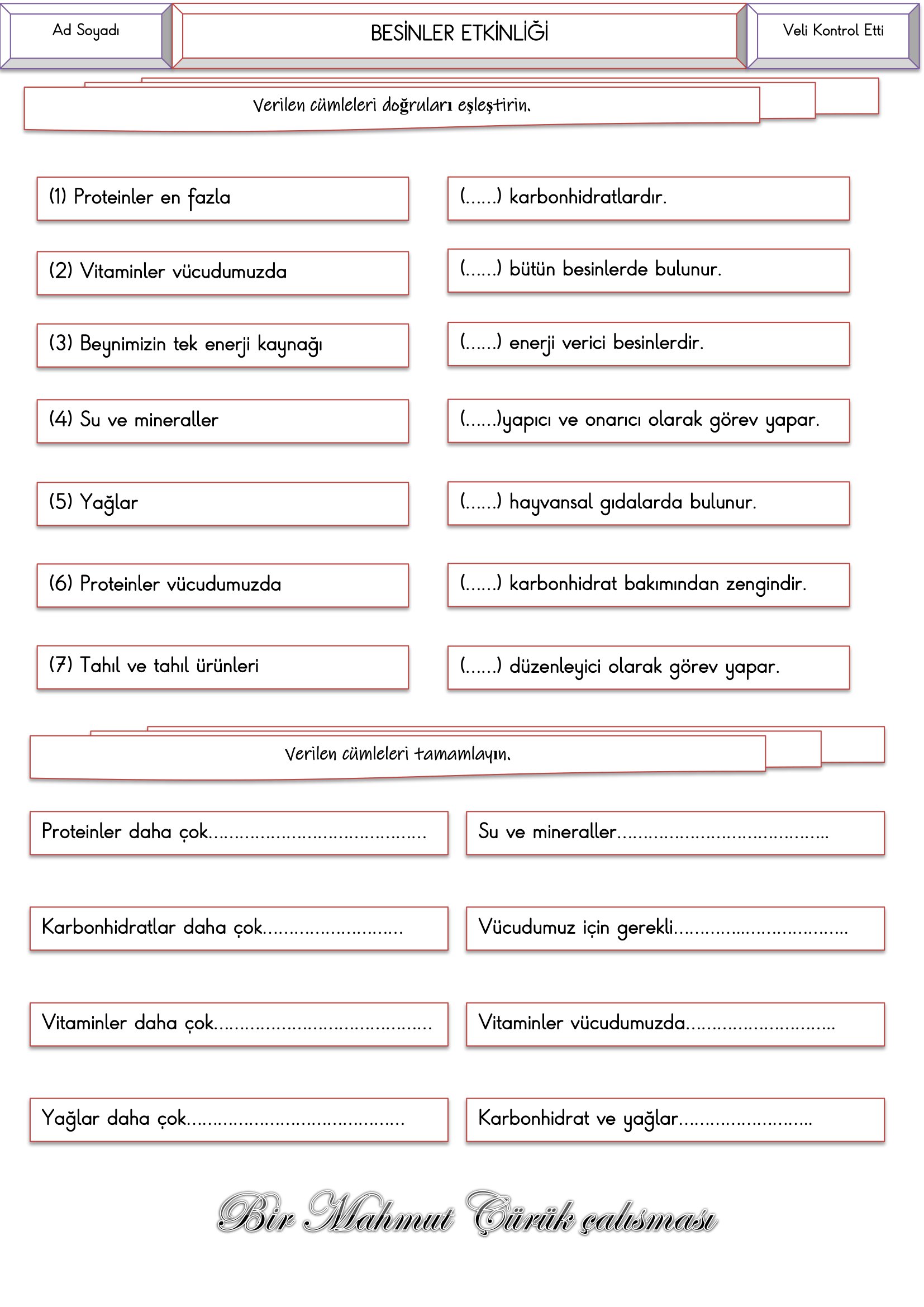 4. Sınıf Fen Bilimleri Besinler Etkinliği-3