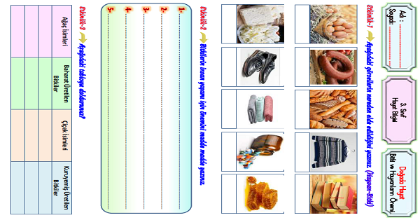 3. Sınıf Hayat Bilgisi Bitki ve Hayvanların Yaşamımızdaki Önemi Etkinliği