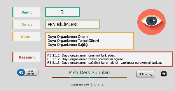 3. Sınıf Fen Bilimleri Duyu Organlarımız ve Görevleri Sunusu