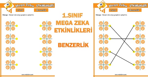 1. Sınıf Mega Zeka Etkinliği - Benzerlik