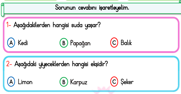 1. Sınıf Türkçe Okuma Anlama (Test) Etkinliği-3