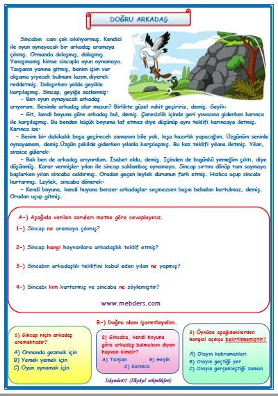 2. Sınıf Türkçe Doğru Arkadaş Okuma Anlama Metin Çalışması 28