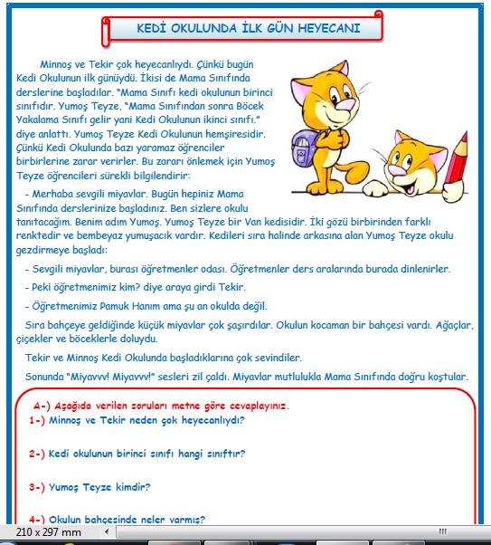 2. Sınıf Türkçe Kedi Okulunda İlk Gün Heyecanı Okuma Anlama Metin Çalışması