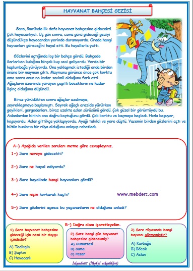 2. Sınıf Türkçe Hayvanat Bahçesi Gezisi Okuma Anlama Metin Çalışması 9