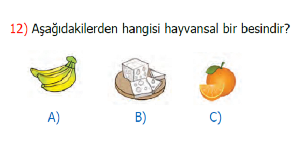 2. Sınıf Hayat Bilgisi Öğün Listem Kazanım Testi