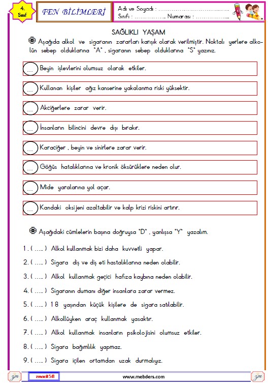 4. Sınıf Fen Bilimleri Sağlıklı Yaşam Etkinliği 2