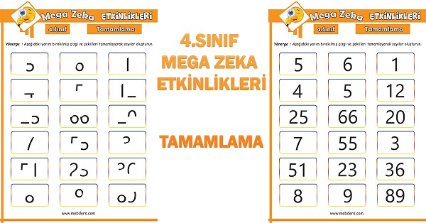 4. Sınıf Mega Zeka Etkinliği - Tamamlama