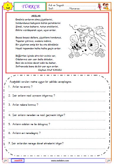 3. Sınıf Türkçe Okuma ve Anlama Metni Etkinliği (Arılar)