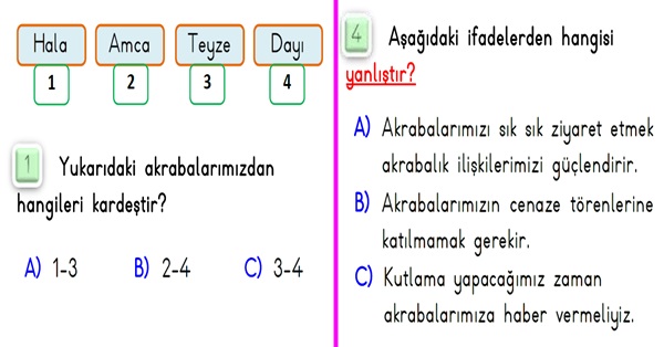 2. Sınıf Hayat Bilgisi Evimizde Hayat Ünitesi-Yaprak Test-3