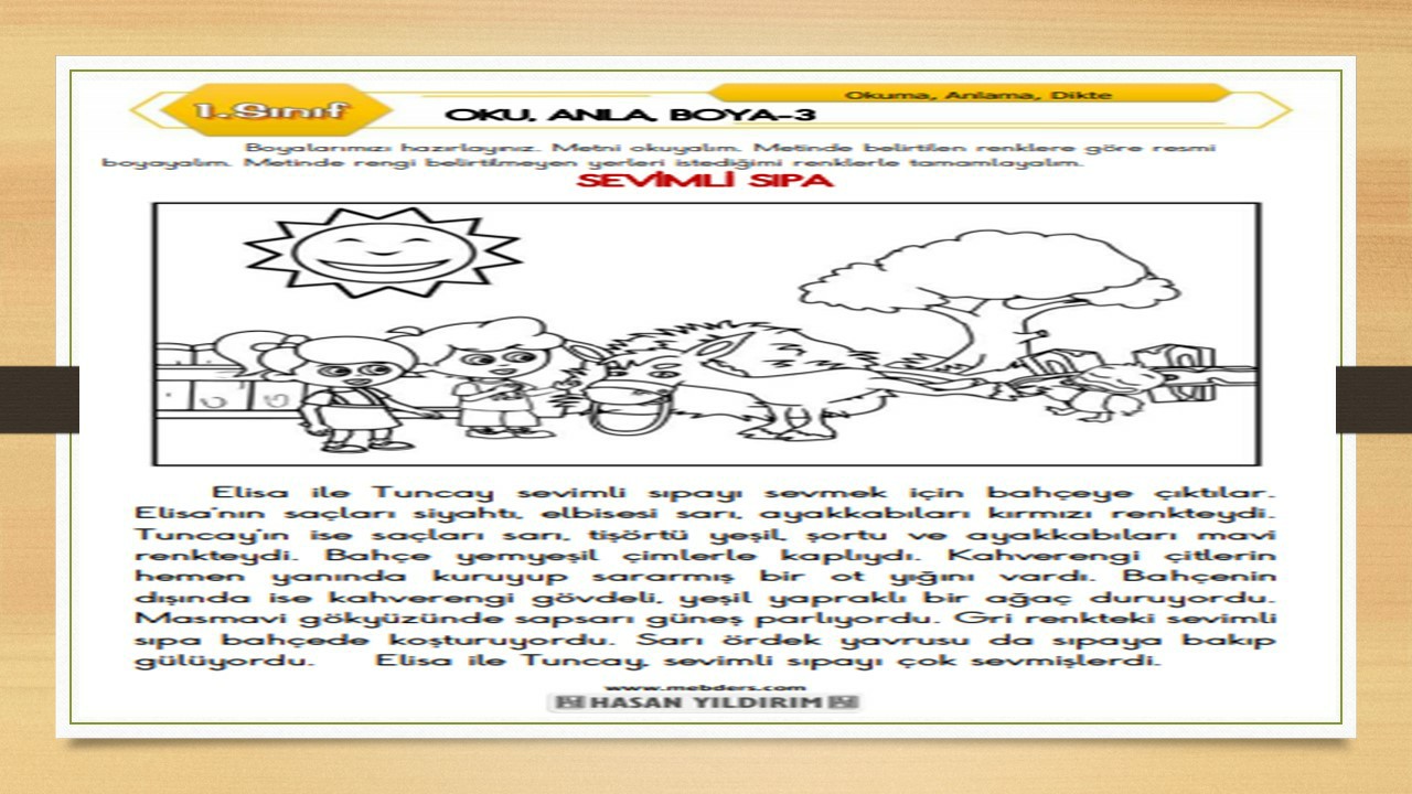 1. Sınıf Türkçe Oku, Anla, Boya-3