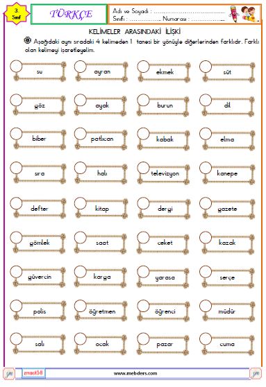 3. Sınıf Türkçe Kelimeler Arasındaki  İlişkiler Etkinliği