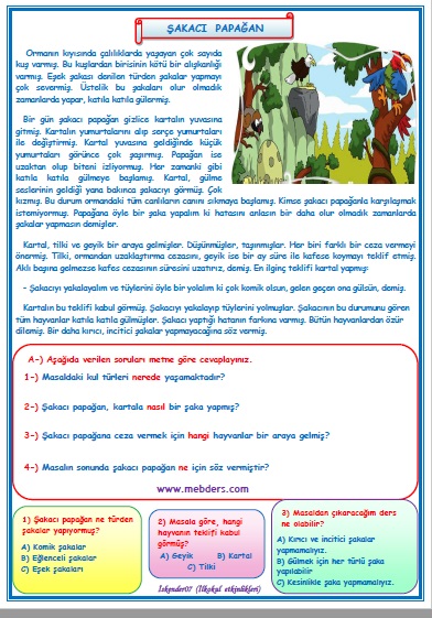2. Sınıf Türkçe Şakacı Papağan Okuma Anlama Metin Çalışması 13