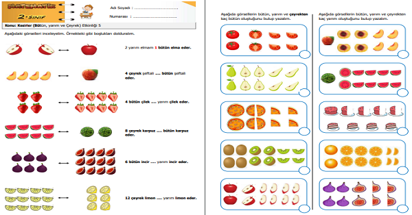 2. Sınıf Matematik Kesirler (Bütün, yarım ve Çeyrek) Etkinliği 5