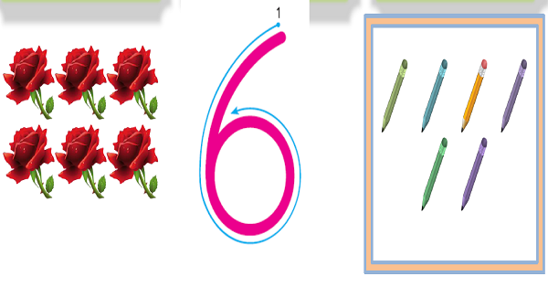 1. Sınıf Matematik Altı Rakamı (6 Rakamı) Etkinliği