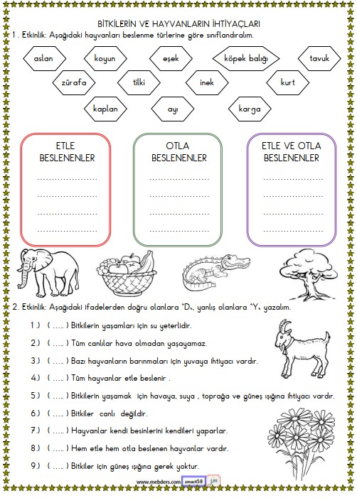 2. Sınıf Hayat Bilgisi Bitkilerin ve Hayvanların İhtiyaçları Etkinliği 2