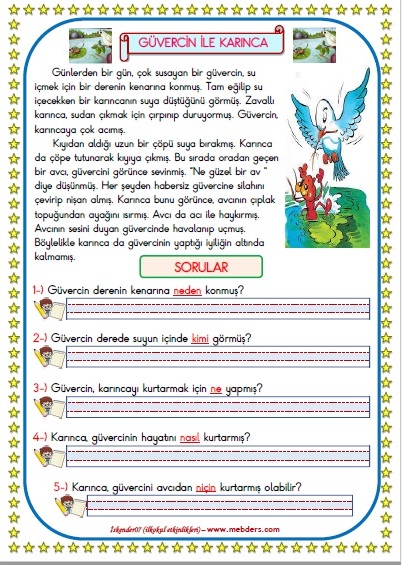 1. Sınıf Türkçe Güvercin İle Karınca Okuma Anlama Metin Çalışması 16