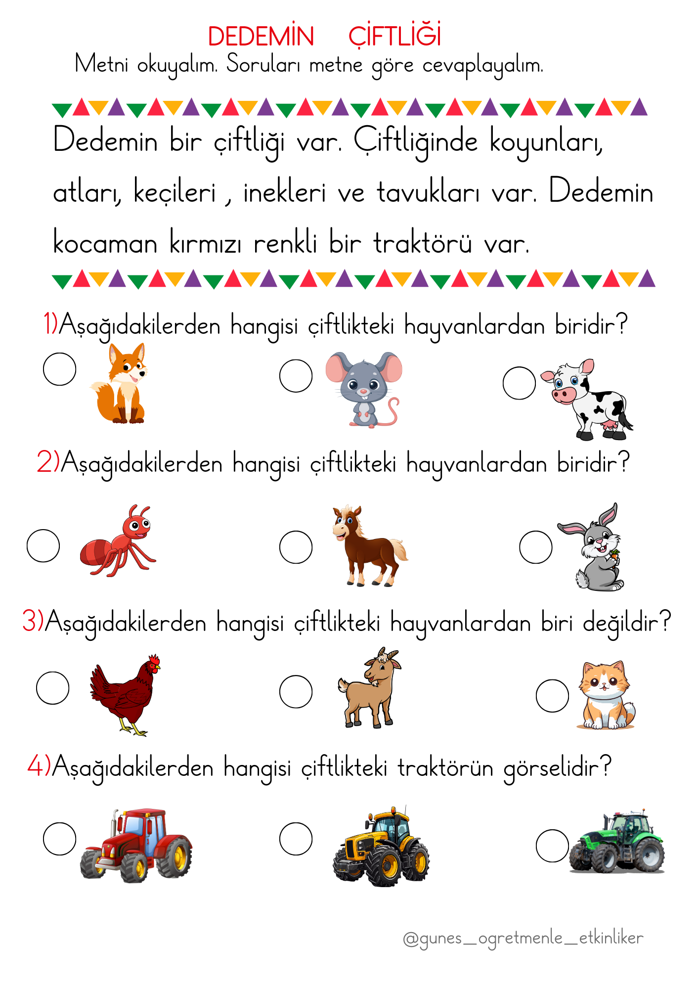 1. Sınıf Türkçe Okuduğunu Anlama