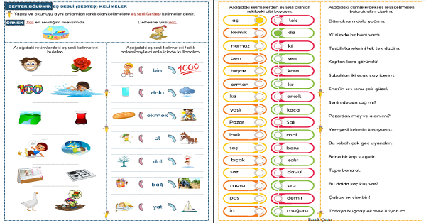 2. Sınıf Türkçe Eş Sesli (Sesteş) Kelimeler Etkinliği