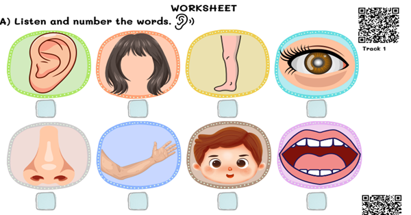2. Sınıf 3.Tema Personal Life Body Parts Çalışma Kağıdı Listening
