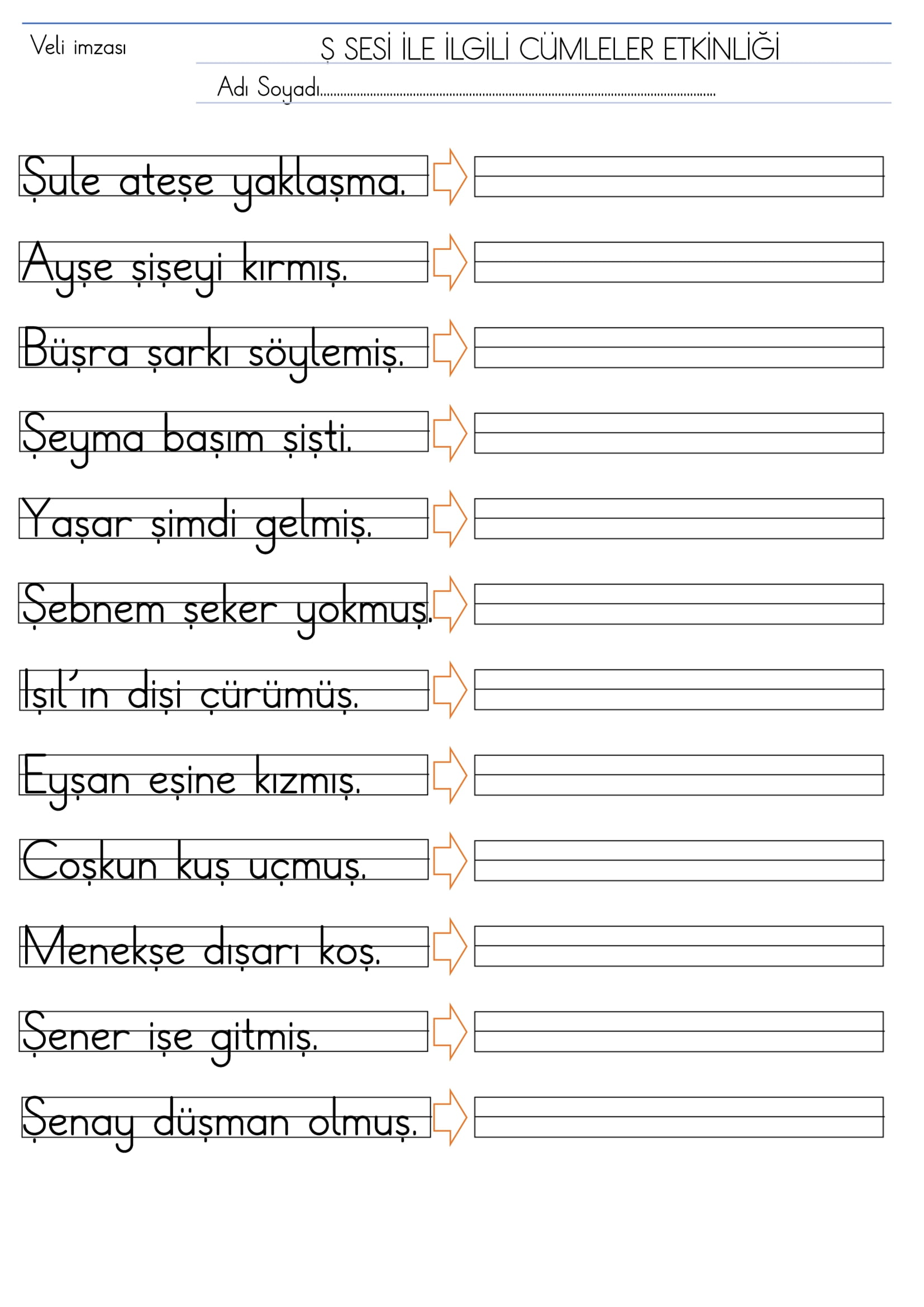 1. Sınıf İlk Okuma Yazma Ş Sesi Cümleler Etkinliği