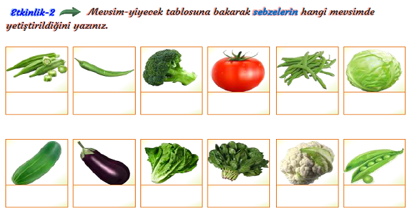 3. Sınıf Hayat Bilgisi Mevsimlere Özgü Yiyeceklerle Beslenelim Etkinliği