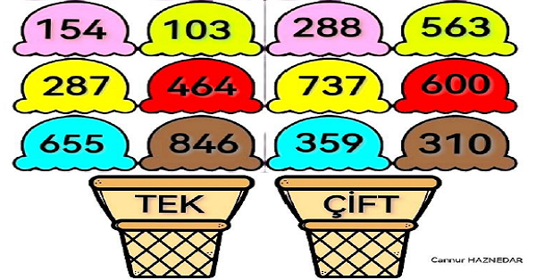 3. Sınıf Matematik Tek ve Çift Sayılar Defter Çalışması