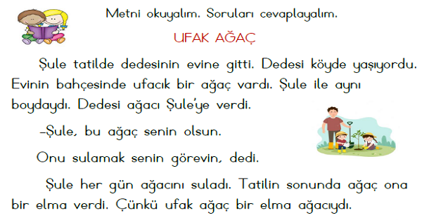 1. Sınıf Türkçe (Ufak Ağaç) Okuma Metni Etkinliği