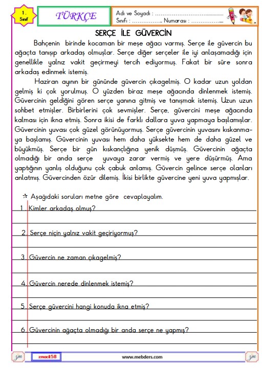 1. Sınıf Türkçe Okuma ve Anlama Etkinliği 14 (Serçe ve Güvercin)