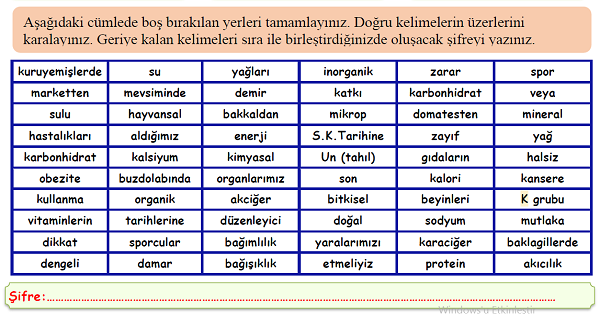4. Sınıf Fen Bilimleri Besinlerimiz Boşluk Doldurma Etkinliği