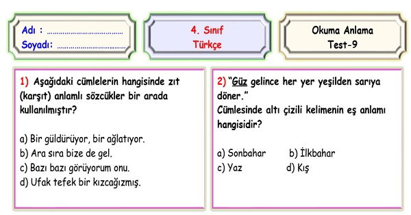 4. Sınıf Türkçe Okuma Anlama Sene Sonu Değerlendirme Testi 9