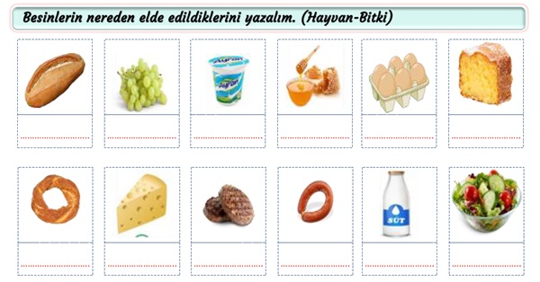 2. Sınıf Hayat Bilgisi Öğünlerimizde Yediklerimiz Etkinliği