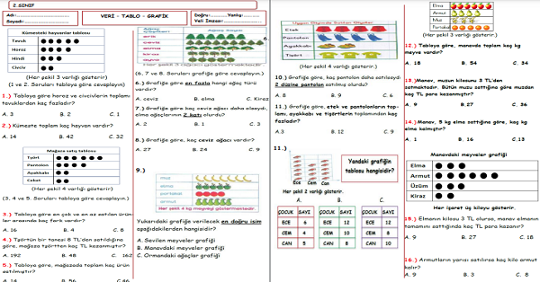 2. Sınıf Matematik Veri Tablo Testi
