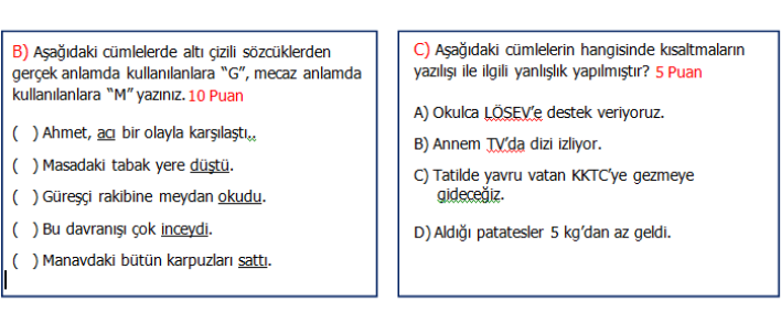 4. Sınıf Türkçe 2.Dönem 2.Yazılı Seviye 2