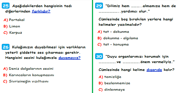 3. Sınıf Fen Bilimleri Beş Duyumuz Ünite Değerlendirme