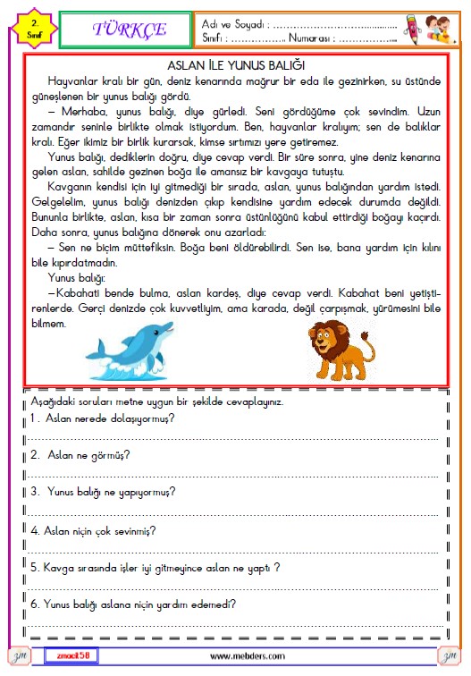 2. Sınıf Türkçe Okuma ve Anlama Metni Etkinliği 18 (Aslan ile Yunus Balığı)