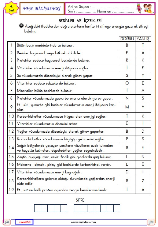 4. Sınıf Fen Bilimleri Besinler ve İçerikleri Etkinliği 2