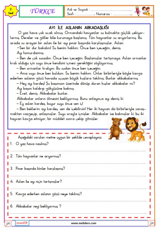 2. Sınıf Türkçe Okuma ve Anlama Metni Etkinliği 3 (Ayı ile Aslanın Arkadaşlığı )