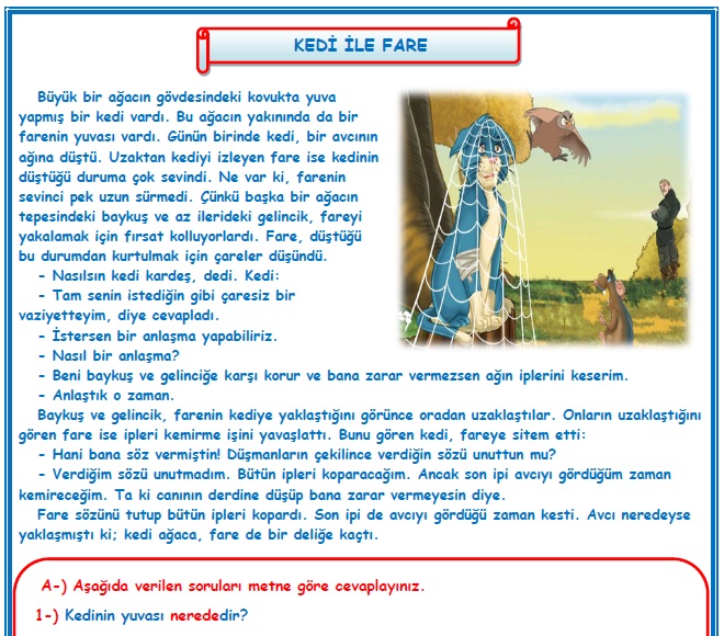 2. Sınıf Türkçe Kedi ile Fare Okuma Anlama Metin Çalışması