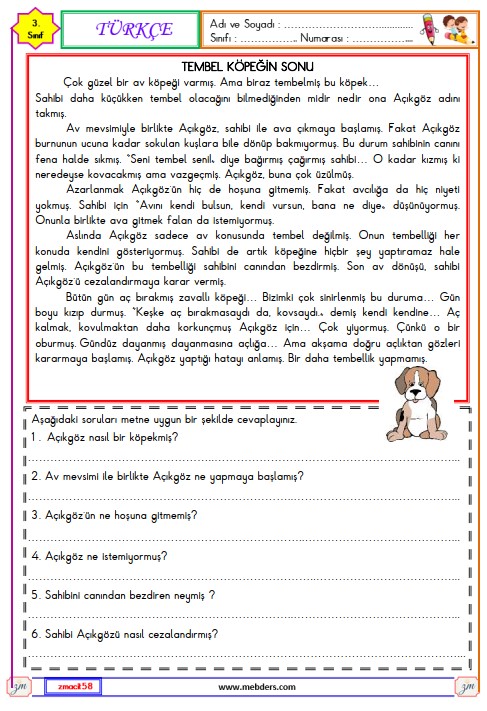 3. Sınıf Türkçe Okuma ve Anlama Metni Etkinliği 18 (Tembel Köpeğin Sonu)