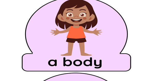 2. Sınıf 3.Tema Personal Life Body Parts Poster/Afiş