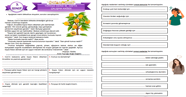 3. Sınıf Türkçe Neden Sonuç Cümleleri + Okuduğunu Anlama Metni
