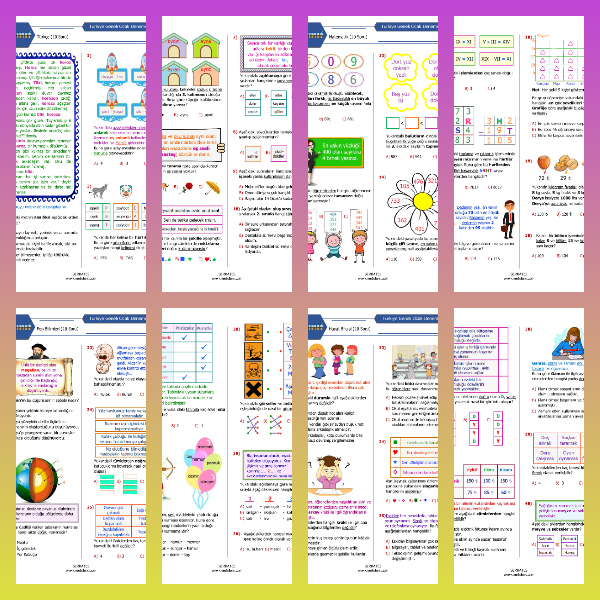 3. Sınıf Ocak Ayı Denemesi (PDF)