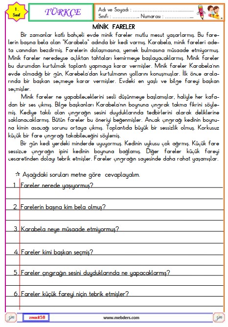 1. Sınıf Türkçe Okuma ve Anlama Etkinliği 18 (Minik Fareler)