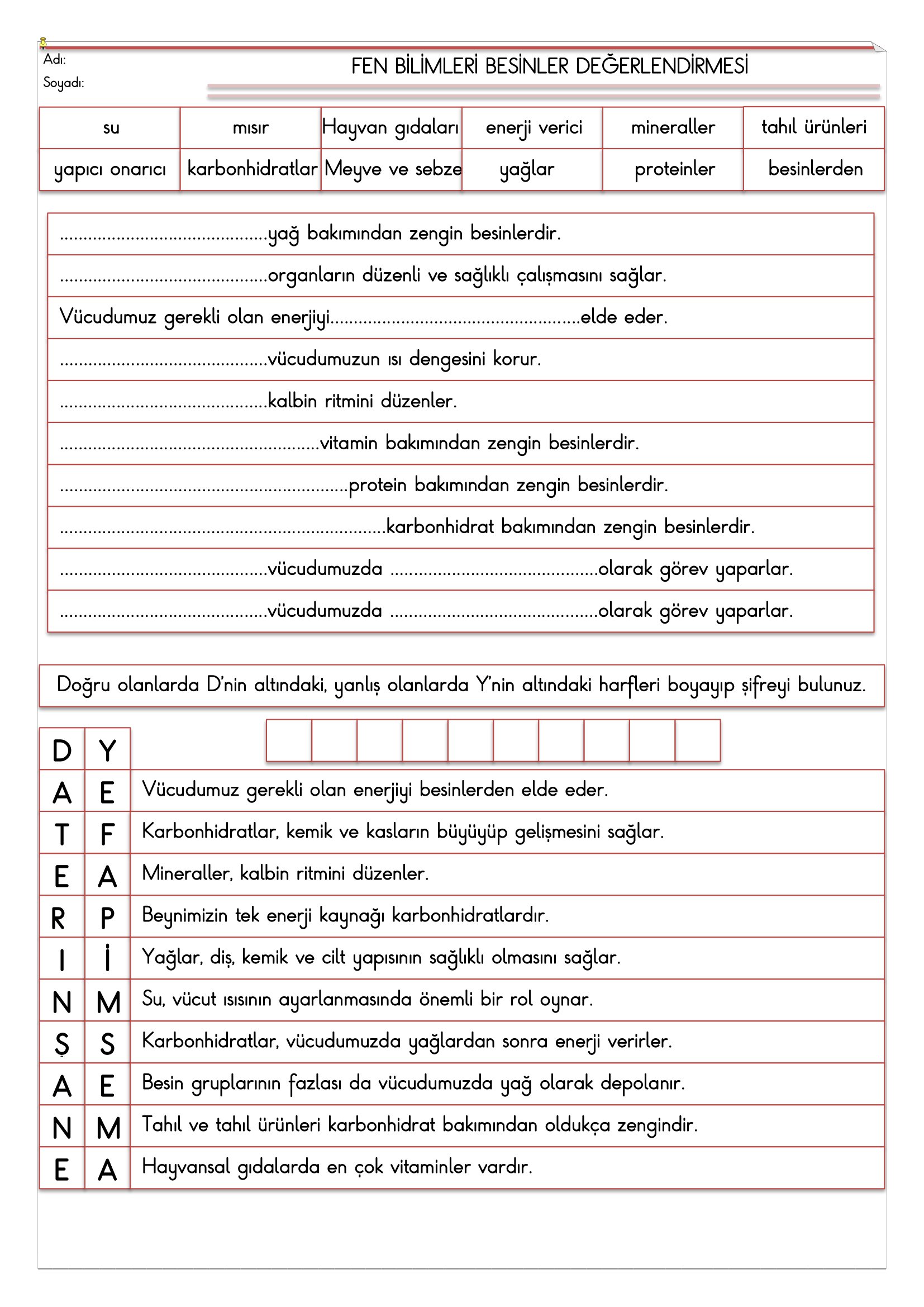 4. Sınıf - Fen Bilimleri Besinlerr Değerlendirmesi