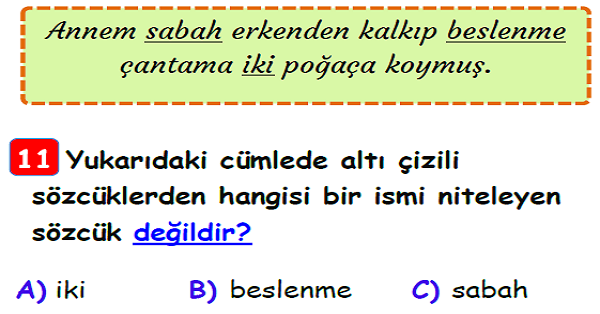 3. Sınıf Türkçe (Ön Ad- Sıfat) Varlıkların Nitelikleri Yaprak Test-1