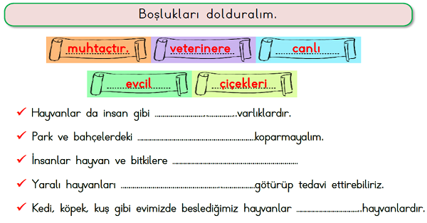 1. Sınıf Hayat Bilgisi Bitkileri ve Hayvanları Koruyalım Etkinliği