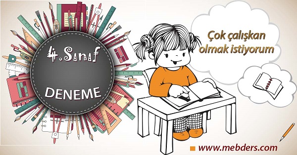 4. Sınıf Kasım Ayı Denemesi - PDF
